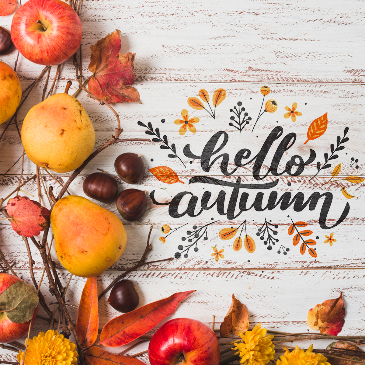 Activități de toamnă. 8 idei de cadouri