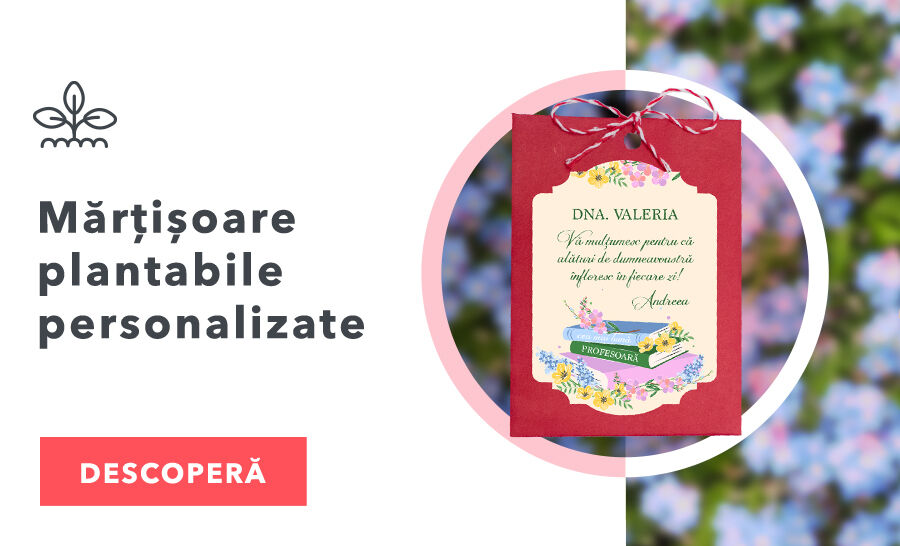 Ültethető Martisoare