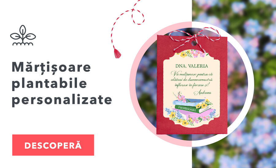 Ültethető Martisoare