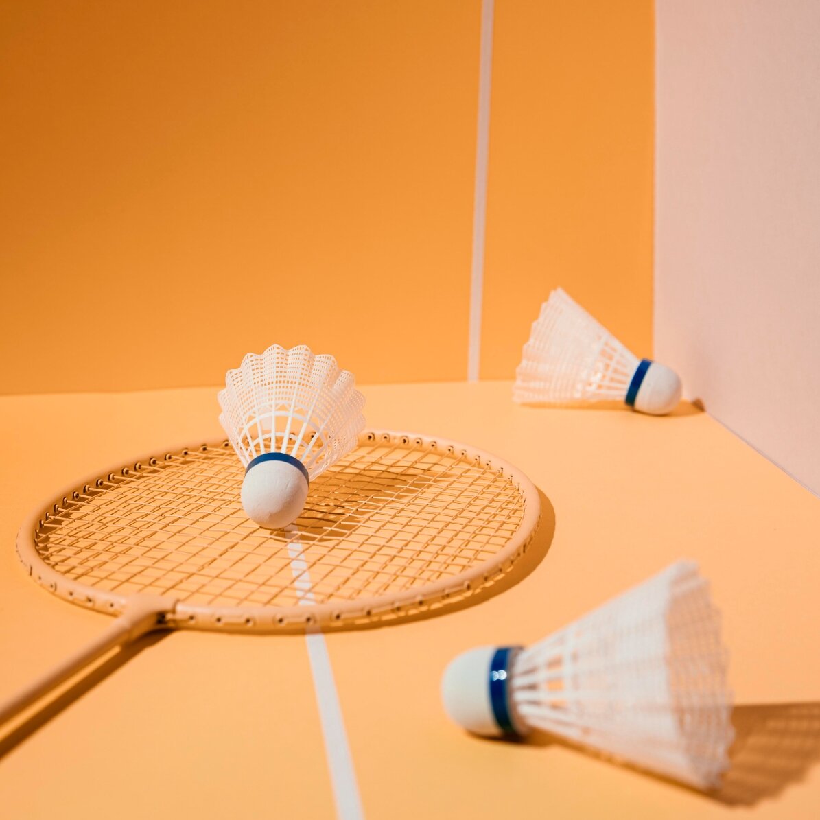 Experiență cadou - Aerosquash/Badminton