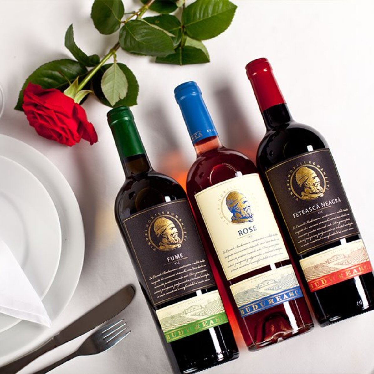 Experiență cadou alături de prieteni - Degustare de vinuri și turul cramei Budureasca