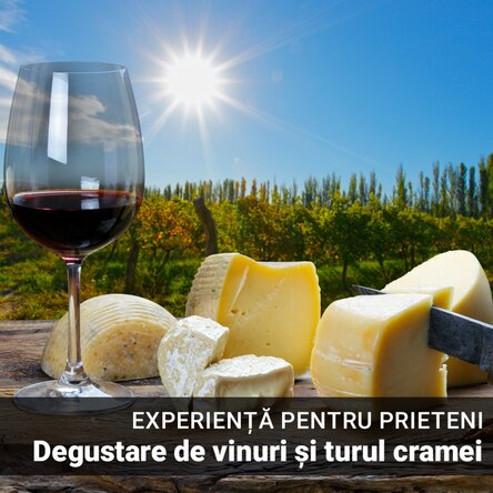 Experiență cadou alături de prieteni - Degustare de vinuri și turul cramei Budureasca