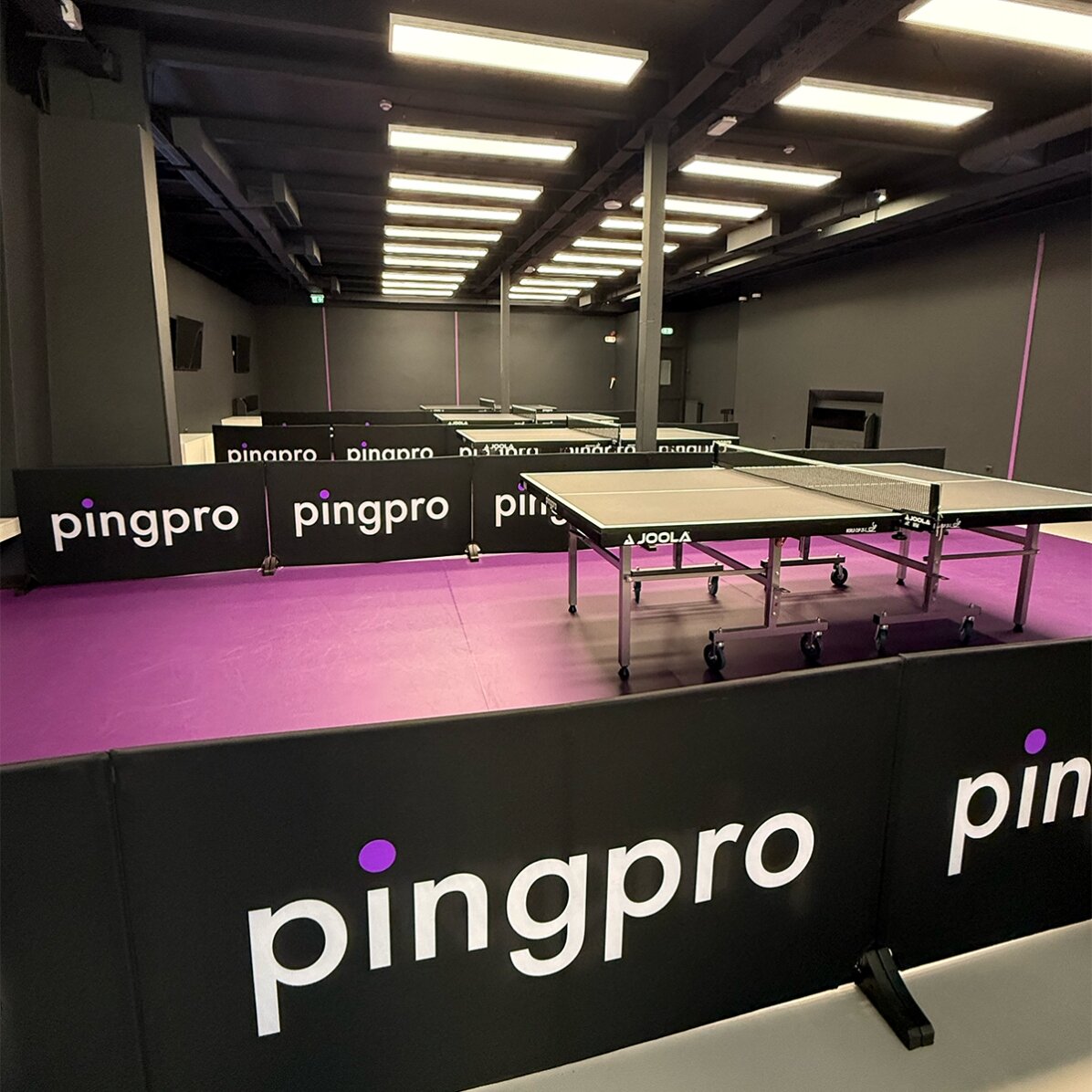 Experiență cadou VIP exclusivă - Tenis de masă - PINGPRO