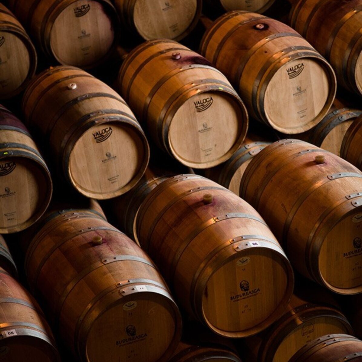 Experiență premium cadou  - Degustare de vin în 2 și turul cramei Budureasca