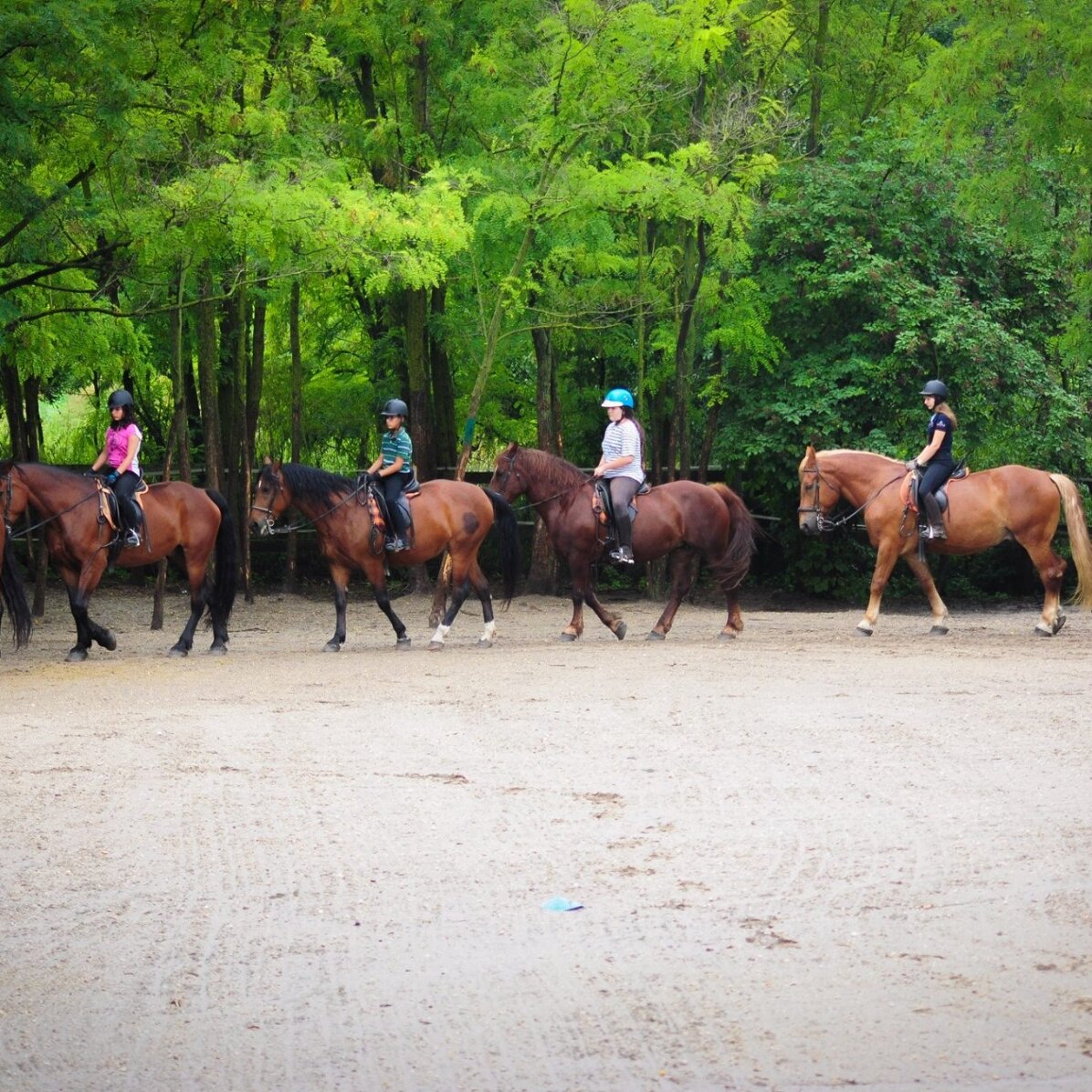 Experiență cadou - Cursuri de Echitație