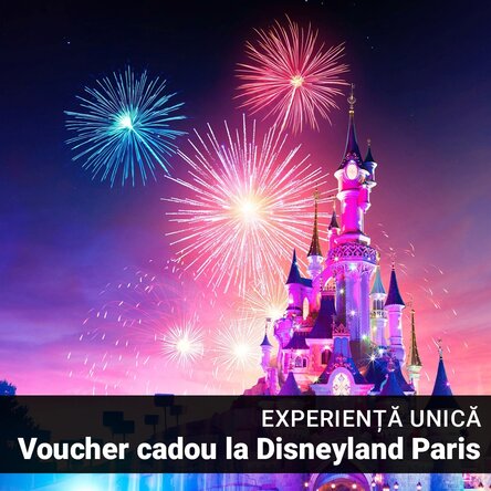 Experiență unică - voucher cadou la Disneyland Paris