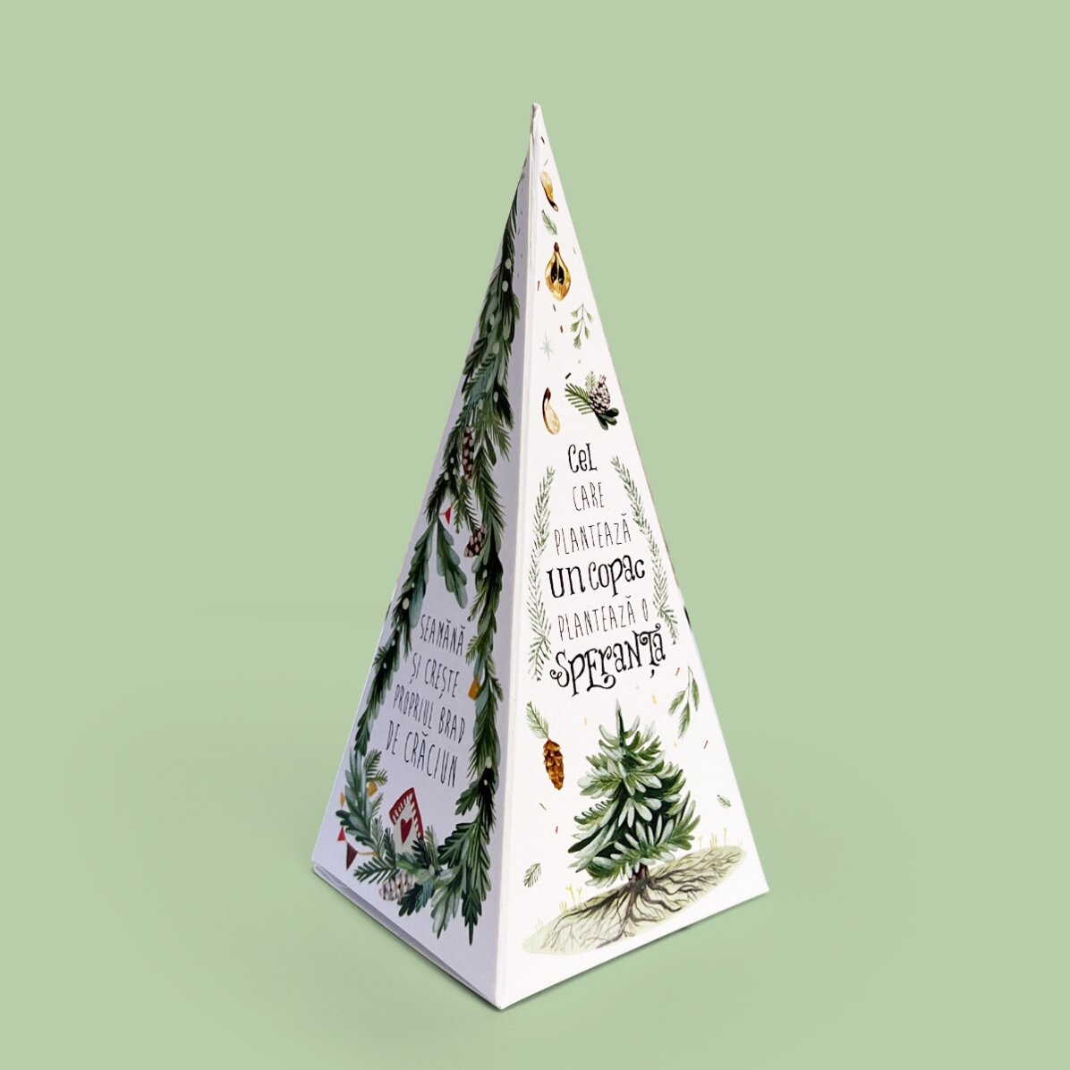 Kit de plantat brad personalizat cu logo și mesaj - Crăciun fericit