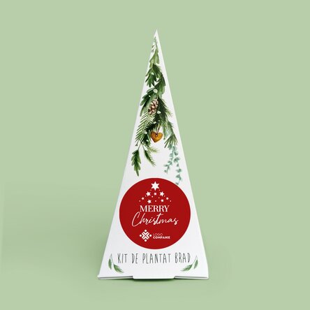 Kit de plantat brad personalizat cu logo și mesaj