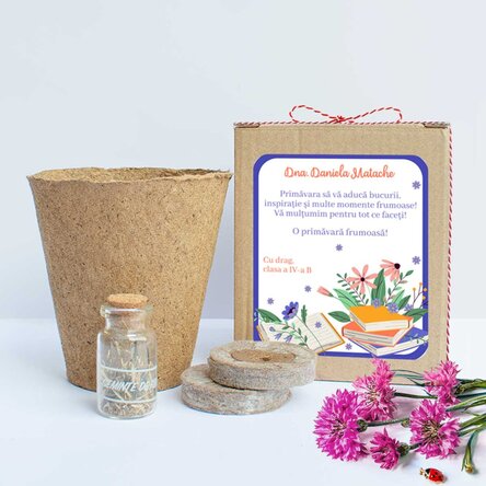 Kit de plantat flori de primăvară în cutiuță personalizată cu text pentru profesoară