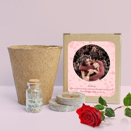 Kit de plantat flori de primăvară în cutiuță personalizată o poză și mesaj - Inimioare
