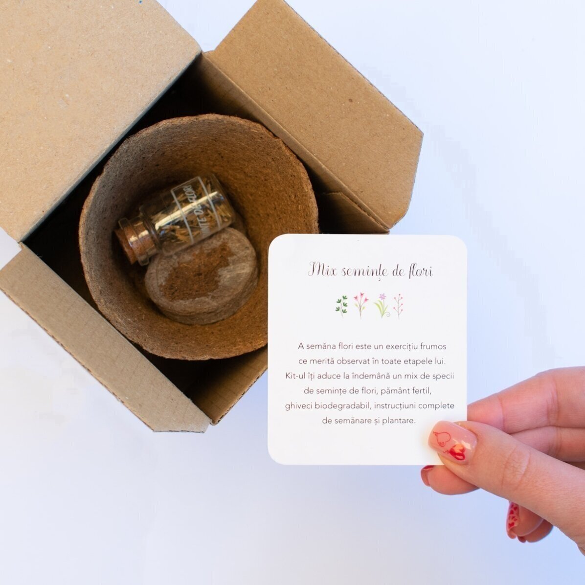 Kit de plantat flori în cutiuță personalizată cu mesaj pentru profesori - model absolvire