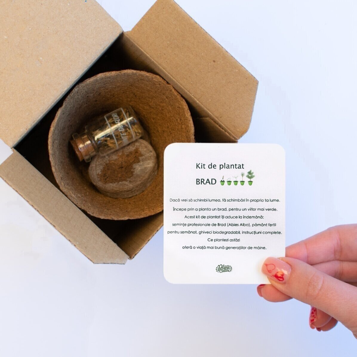 Kit de plantat semințe de brad în cutiuță personalizată cu logo și mesaj - Gold