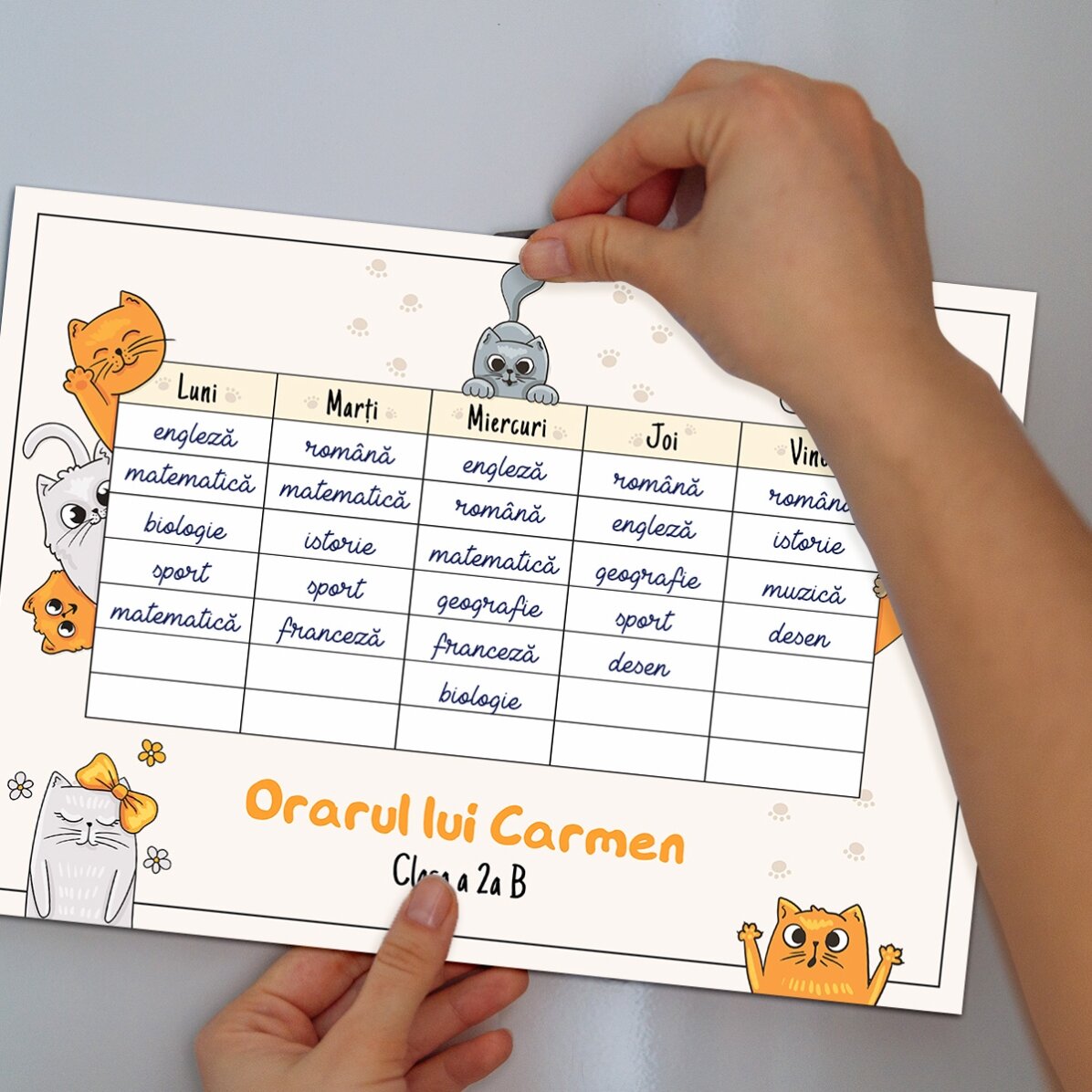 Orar personalizat cu text - Kittens