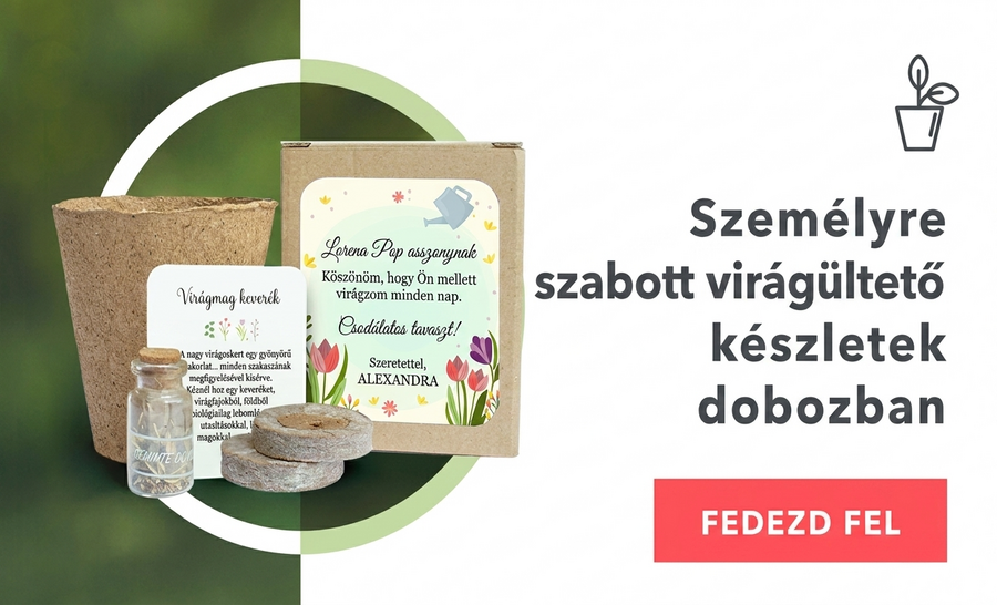 Virágültető készletek személyre szabott dobozokban