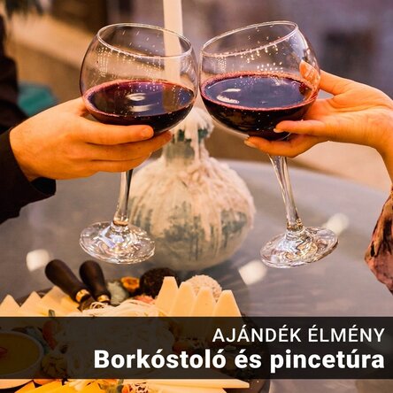 Ajándékélmény - Borkóstolás 2 fő részére és túra a Budureasca borászatban
