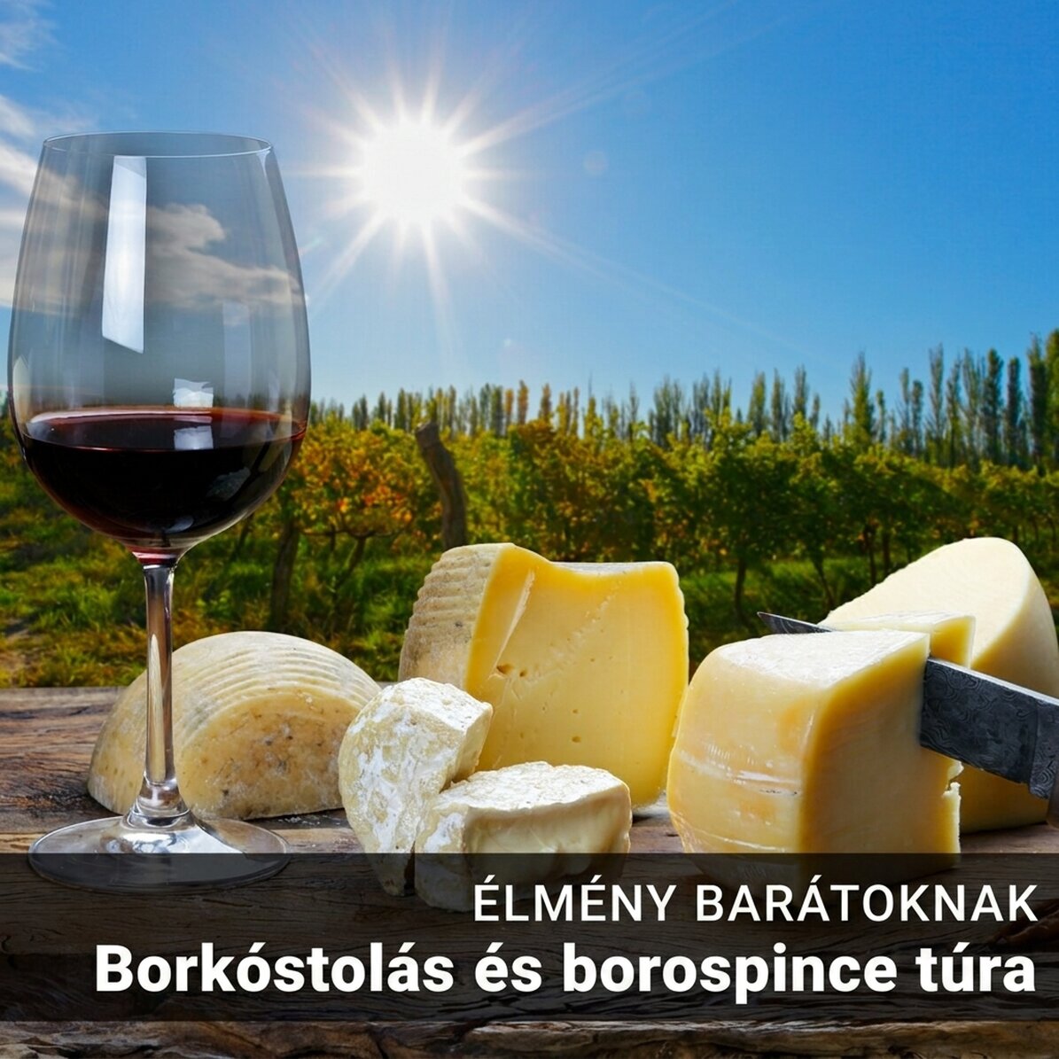 Ajándékélmény barátaiddal – Borkóstolás és túra a Budureasca borászatban