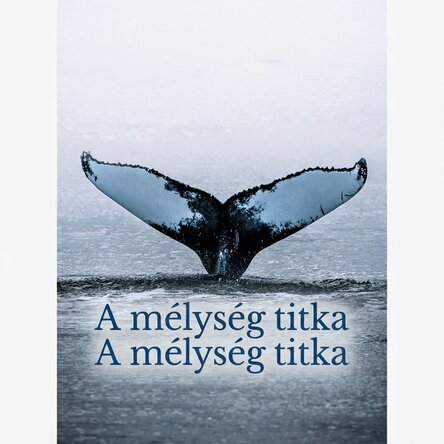 Bálnafarok poszter