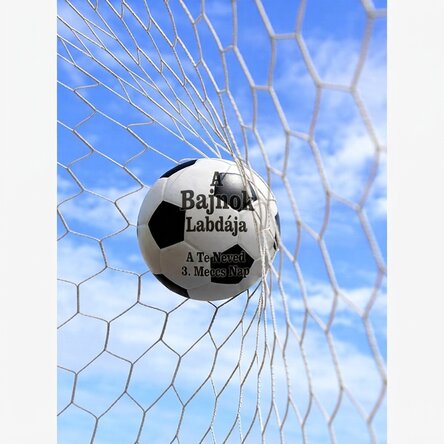 Poszter Labda a futballkapuban