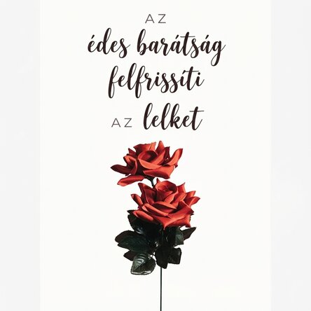 Barátság rózsákkal poszter