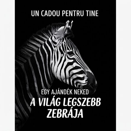Zebra poszter