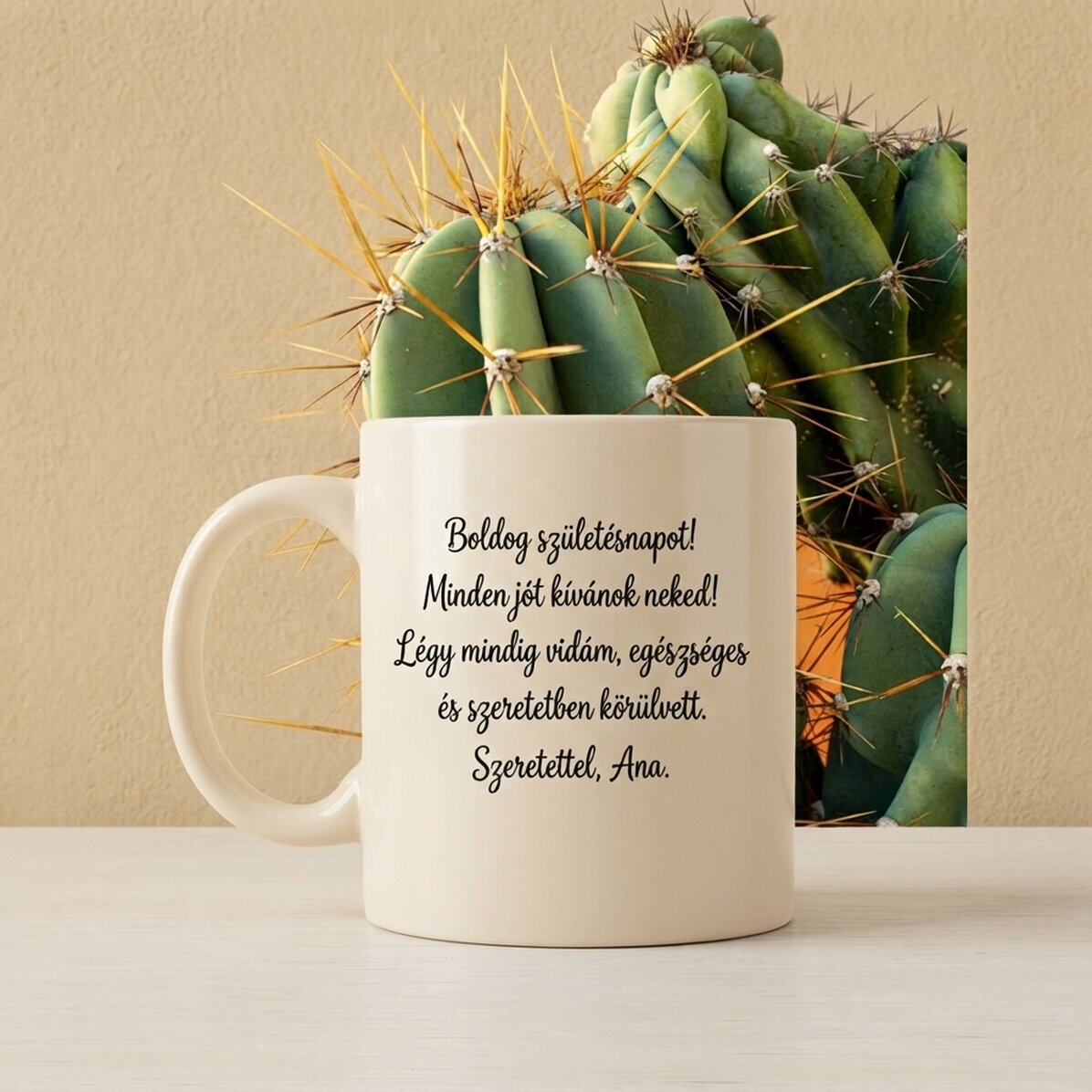 Kaktusz poszter színes háttérrel