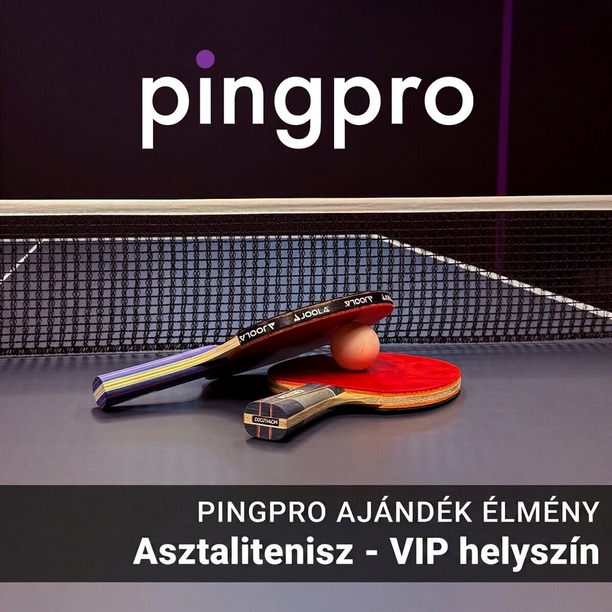 Exkluzív VIP ajándékélmény – Asztalitenisz – PINGPRO